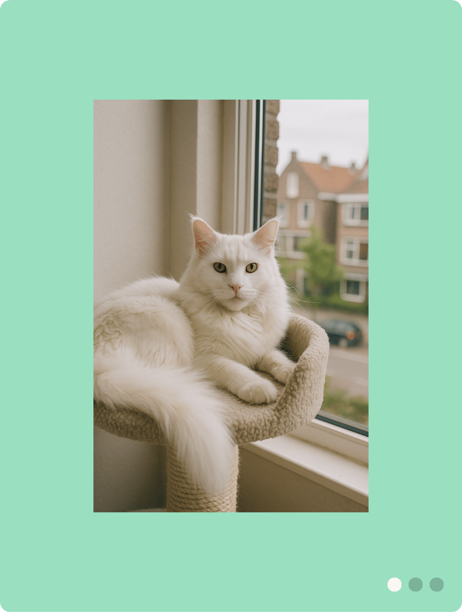 puuzl fotopuzzel inspiratie met een voorbeeld van nostalgia (before). Een foto van een kat in de slaapkamer, elegant in de krabpaal.